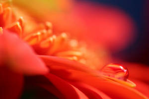 96873bb254cce64c.jpg